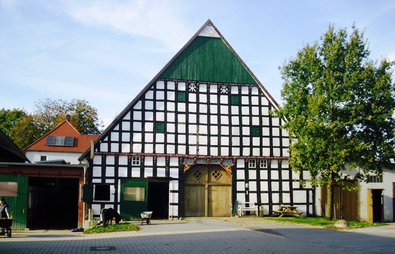 Bild 7